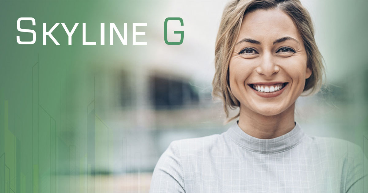 Skyline G - Executive Coaching & Leadership Development